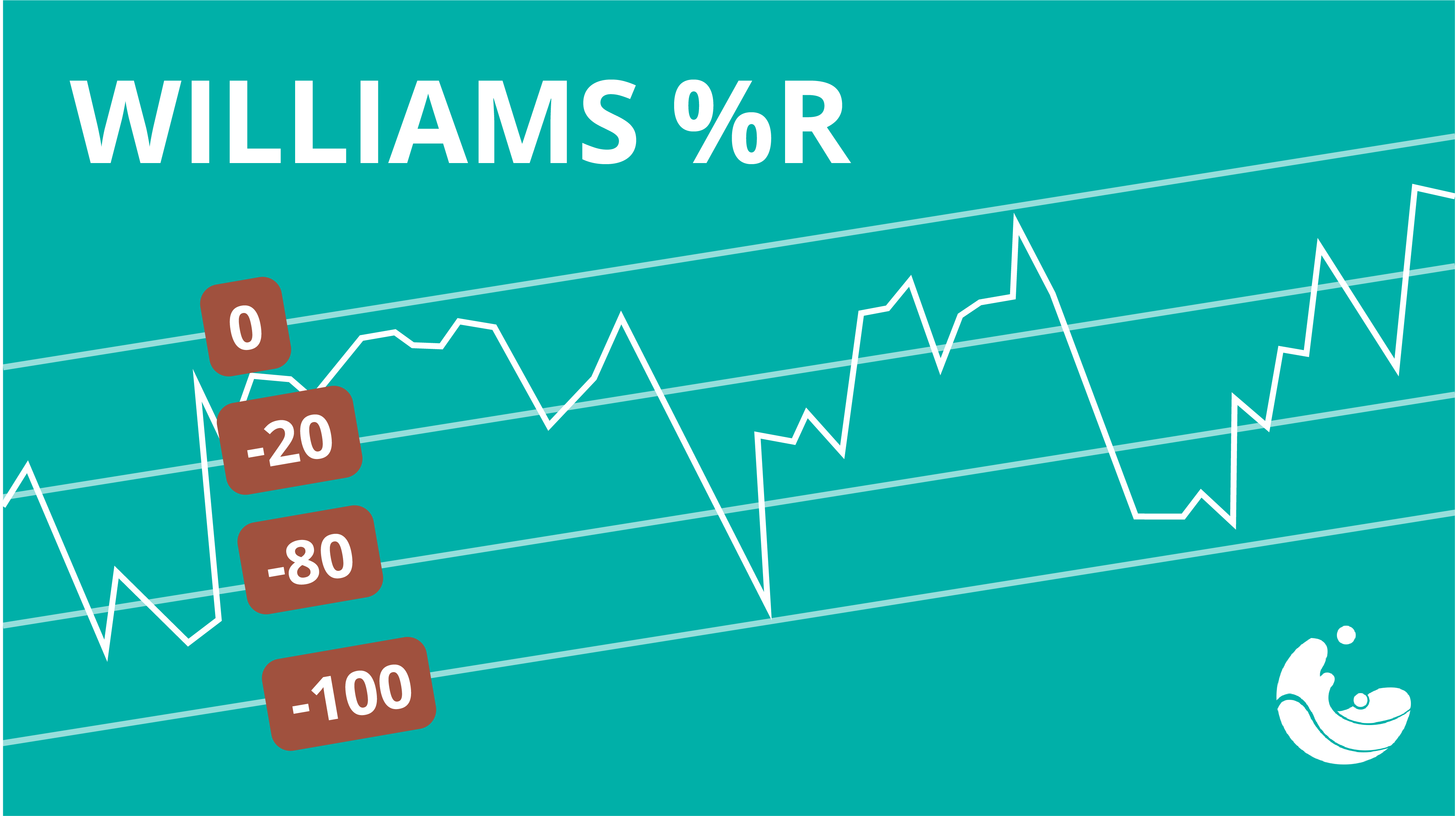 What is Williams %R ?