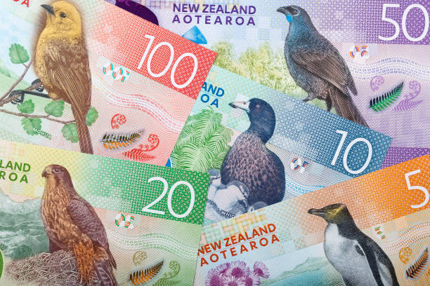 Kiwi Rallies on RBNZ’s Hawkish Hold; US CPI and BoC Next