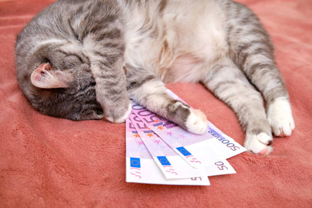 Franc and Euro Falter, Yen Strengthens as Risk-Off Returns